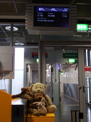 Kasimir, Cäsar, Fredi und Kerl am Check-In auf dem Weg nach Israel