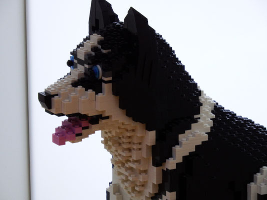 Lego-Husky