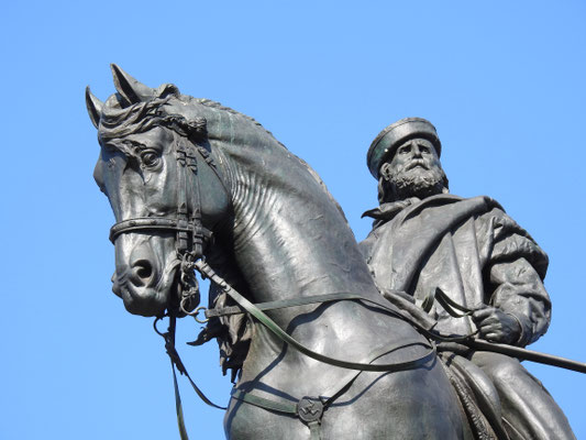 Giuseppe Garibaldi, der italienische Freiheitskämpfer