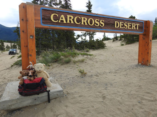 Wir - Kasimir, Cäsar, Fredi und Kerl - in Carcross, Alaska. Und nein, nicht Car wie Auto, sondern Car von Caribu.