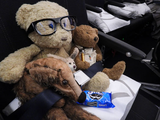 Zum Fernsehgucken hab ich, Kasimir, ihre Brille ausgeliehen ;-)