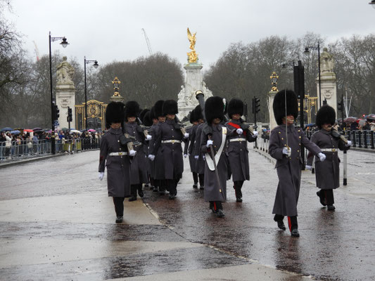 ... genau hin ... jetzt sind es weiß-grüne Federn! Die Coldstream Guards haben also die Welsh Guards abgelöst.