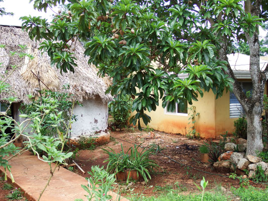 mexikanisches Dorf in Yucatán, Mexiko