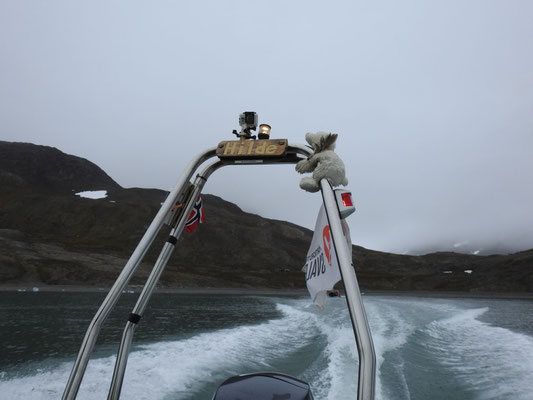 Brrrmmm, mit dem Schnellboot 'Hilde' geht es zurück. Und siehe da, ein Minieisbär fährt mit.