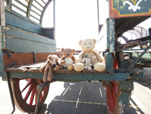 wir auf einem historischen Planwagen der Voortrekker