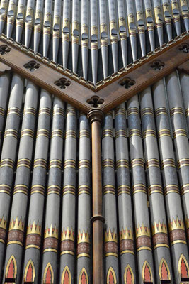 Kasimir, Cäsar, Fredi und Kerl bewundern die Orgel in der Kathedrale Arundels