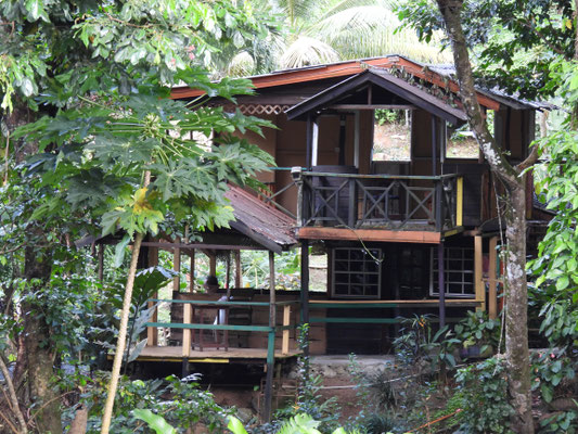 Abenteuer 'Wohnen im Regenwald'