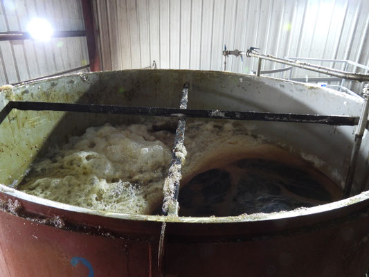Hier wird fermentiert.