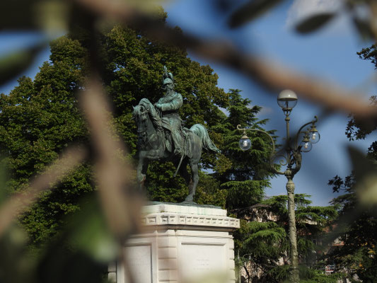 Viktor Emanuel II., mit vollem Namen Vittorio Emanuele Maria Alberto Eugenio Ferdinando Tommaso di Savoia, italienisch Vittorio Emanuele II. aus dem Haus Savoyen, 1849 -1861 König von Sardinien-Piemont