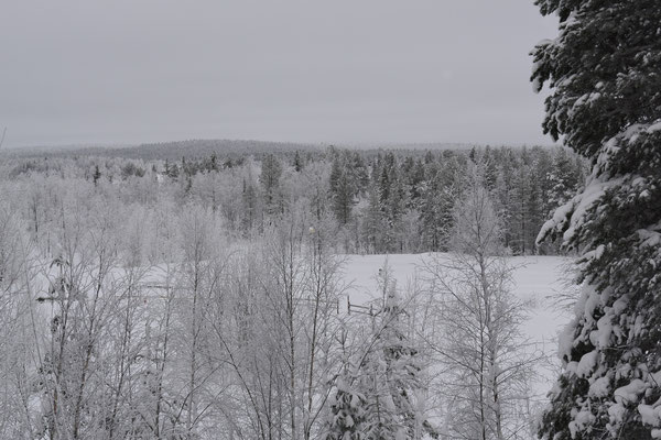 Schneelandschaft in Lappland