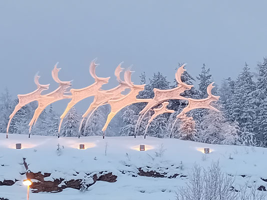 ... am Flughafen in Rovaniemi Rentiere