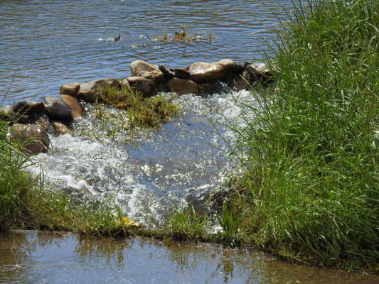 Wasserlauf im Garten der vier Cousins