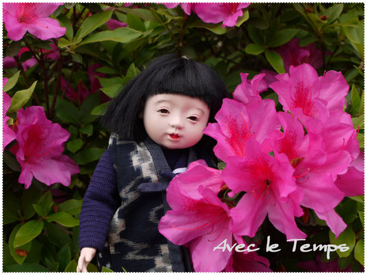 市松人形 - mypilglim