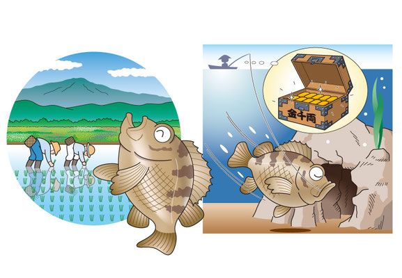 パンフレット：「根ばなれ千両」→メバルなどの根魚は岩礁の穴に潜られないように注意しろという教え