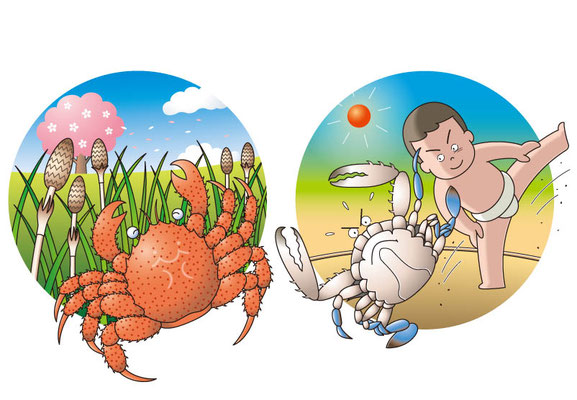 パンフレット：「ピタリ蟹の褌」→寸法がピタリと合うことの例え