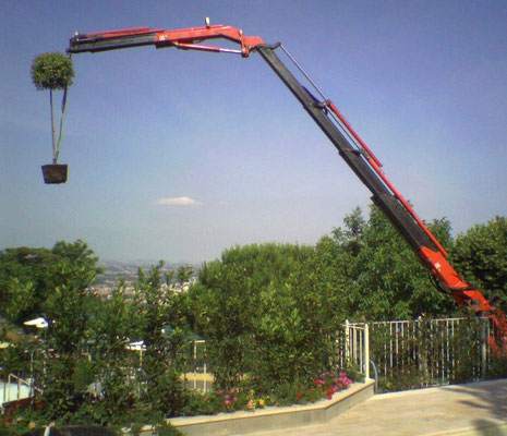 Pr 2 durante