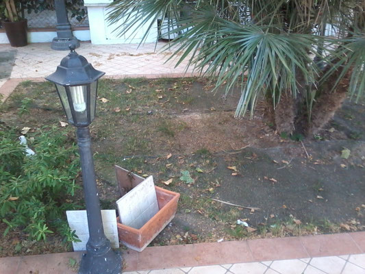Prima pr