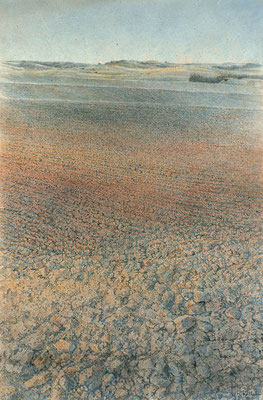 Das Feld II (The Field II), 70x50cm