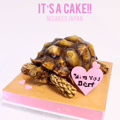 亀立体ケーキ【誕生日/イベント/オーダーメイドケーキ】