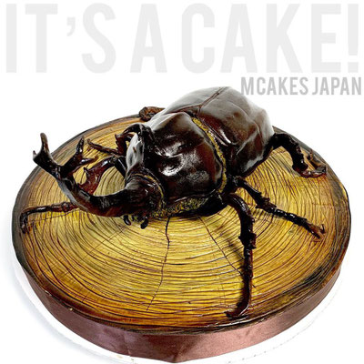 カブトムシ昆虫立体ケーキ【誕生日/イベント/オーダーメイドケーキ】
