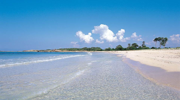 Playa Es Trenc