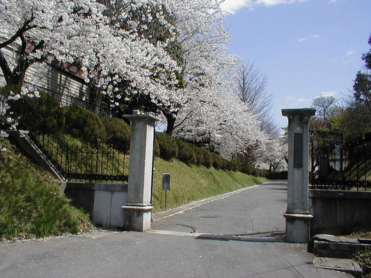 土浦一高 門