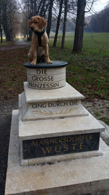 OHNE WORTE