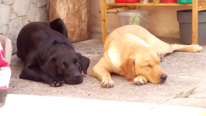 ausspannen auf der Terrasse