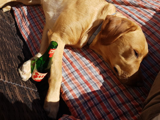1. Bier auf der Terrasse