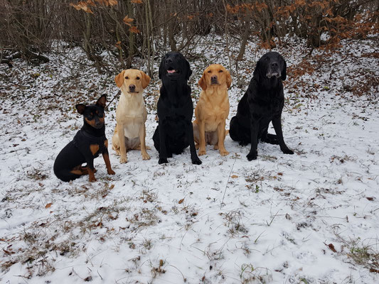 Beim Spaziergang