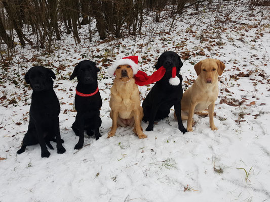 Frohe Weihnachten