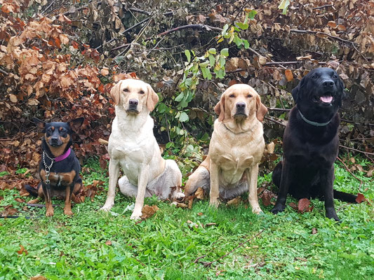 Spaziergang - ohne Kinder :)