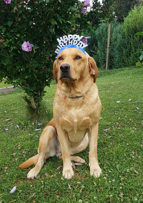 Greta wurde 4 Jahre !!!