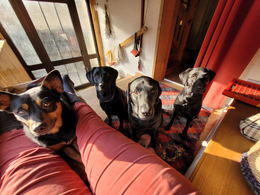 Wintersonne im Windfang geniessen