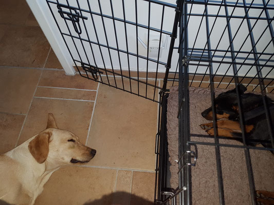 Betty hat eine neue Freundin