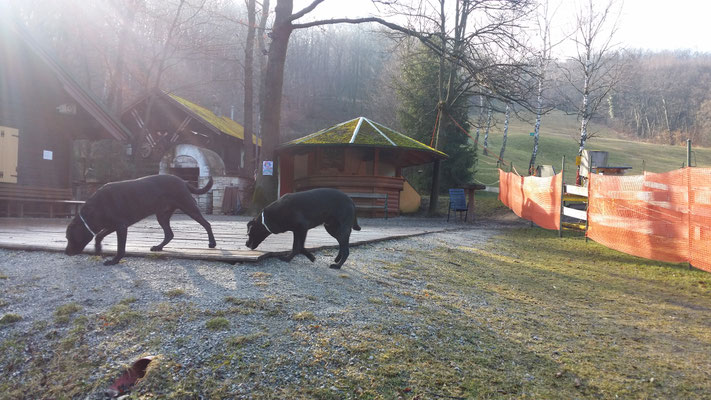 Die Skiwiese in Mannersdorf besucht!