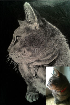 Katzen-Porträt, Purzel, A5, 220g/m², Zeichenpapier, Grafit