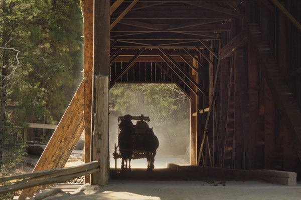 Michael Bremer Yosemite-Coach col