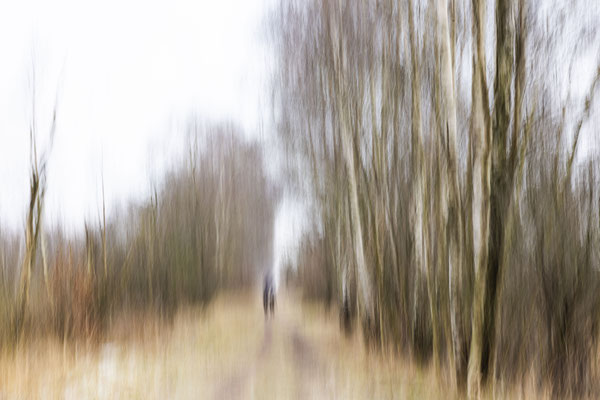 K.LuttmerSpaziergang im Moor