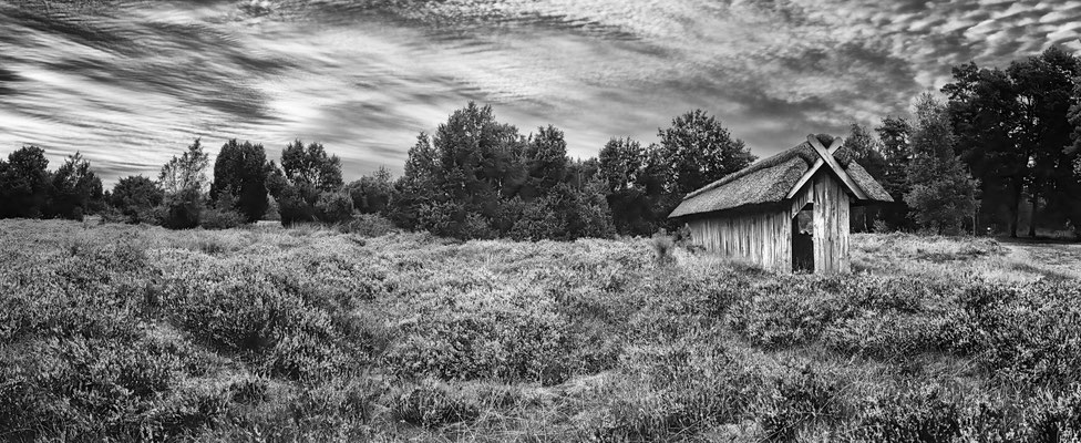 Lüneburger Heide