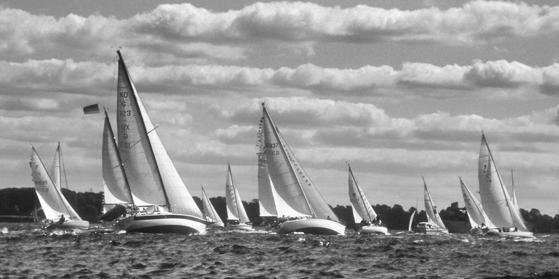 Regatta