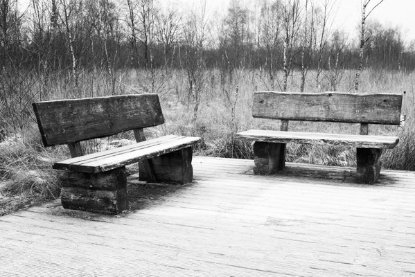Bernd Wohlleben, Frostiger Sitzplatz