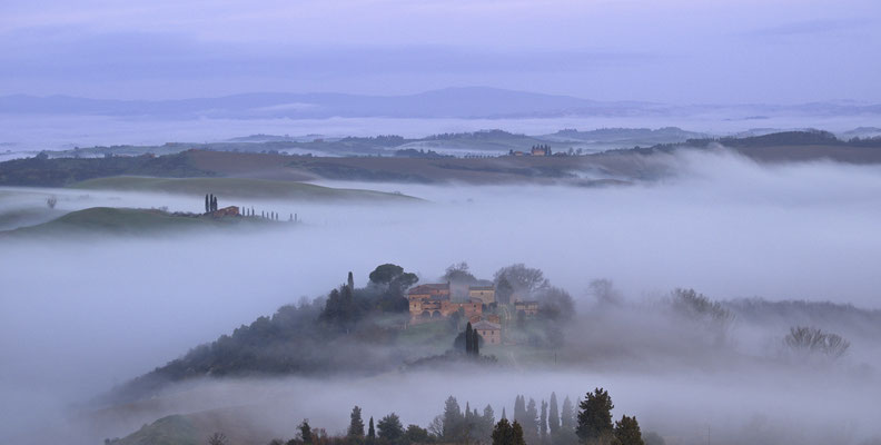 Annette Timmermann - Cold Foggy Morning - Annahme