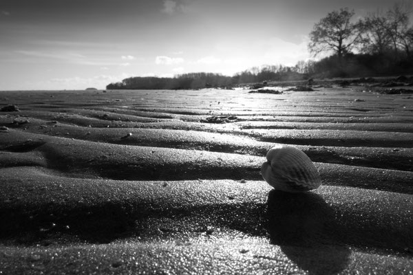 Torben Kelde Am Strand