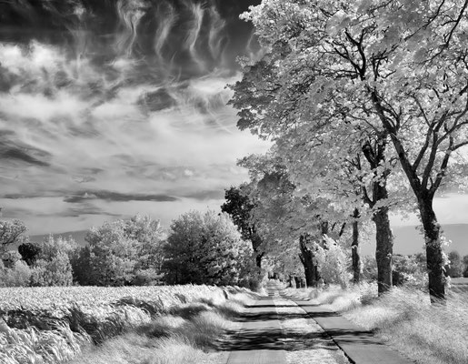IR,  Bordesholmer Land