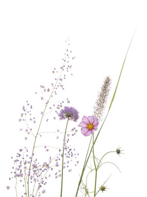C.Bahr Zarte Blüten