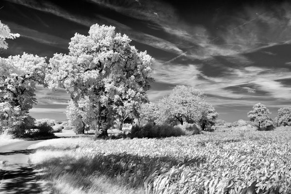 IR,  Bordesholmer Land