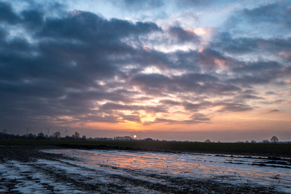 Bernd Wohlleben, Sonnenaufgang im Winter