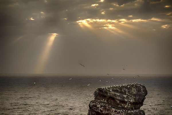 Helgoland