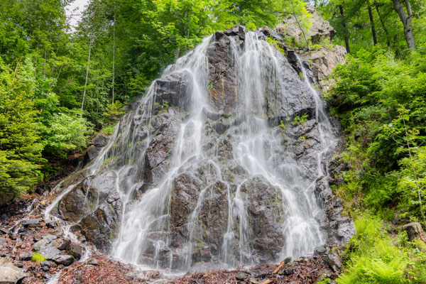 B.Wohlleben, Wasser über Felsen